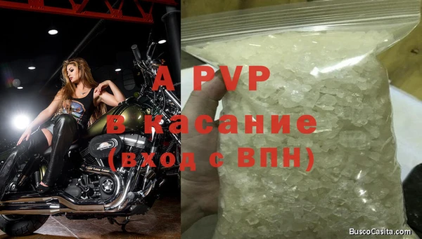 стафф Абинск