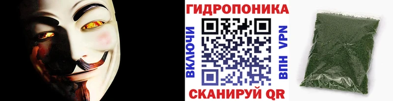 ОМГ ОМГ рабочий сайт Балашиха Каннабис сатива
